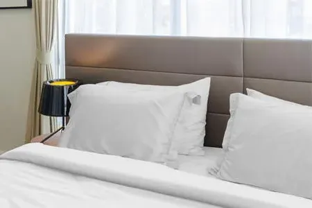 Queen Organic Cotton Sheet & Pillow Set - White