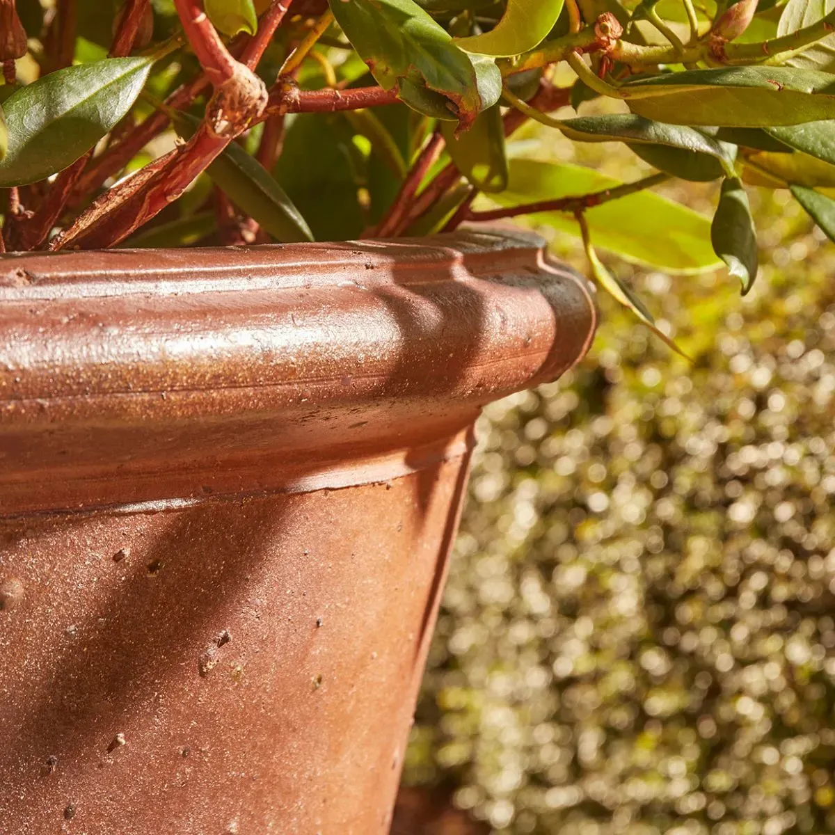 Glazed Plant Pot with Salt Glaze - Stone, Clay