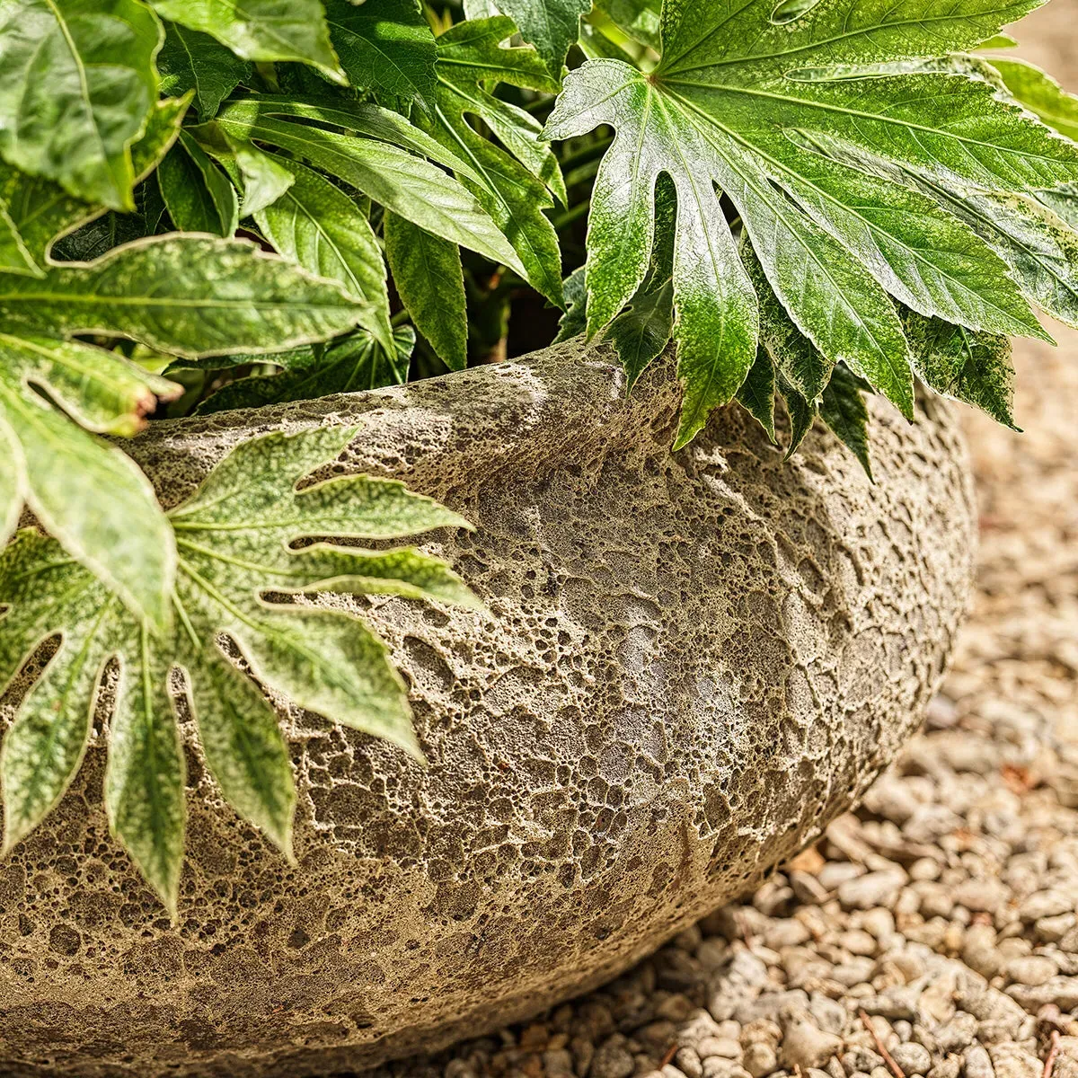 Large Bowl Planter - Ancient Stone, Clay
