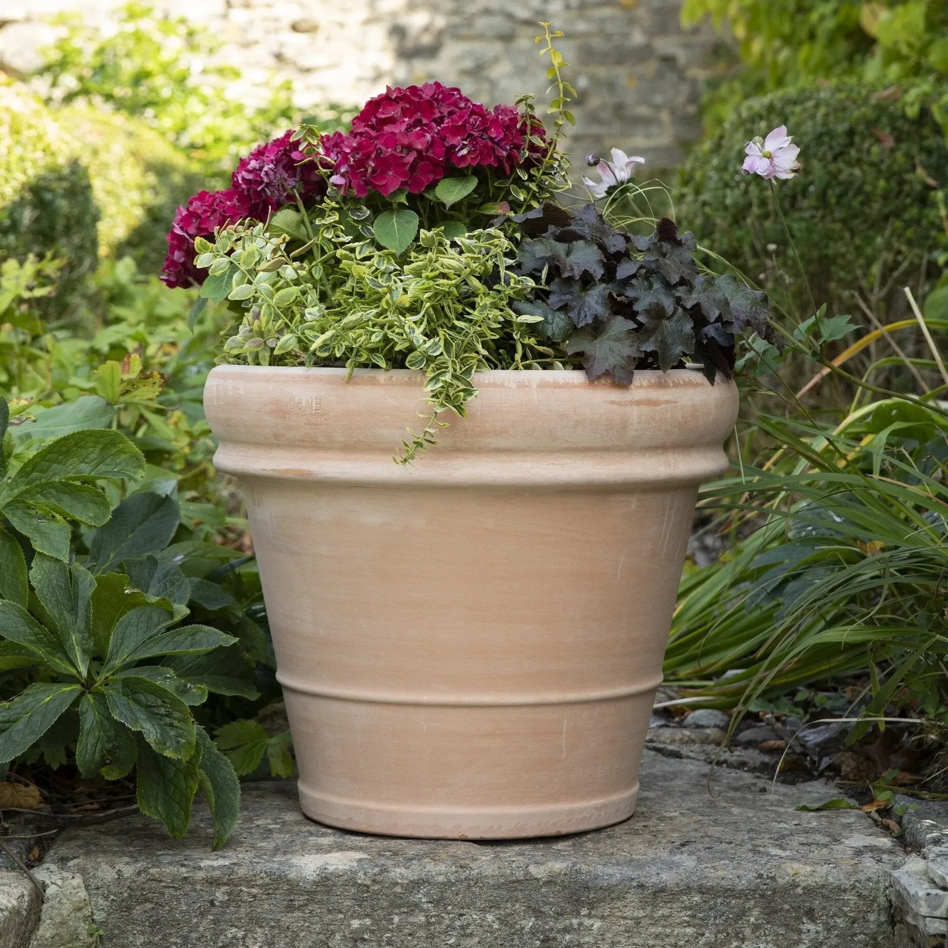 50cm Plant Pot with Drainage - Terracotta image
