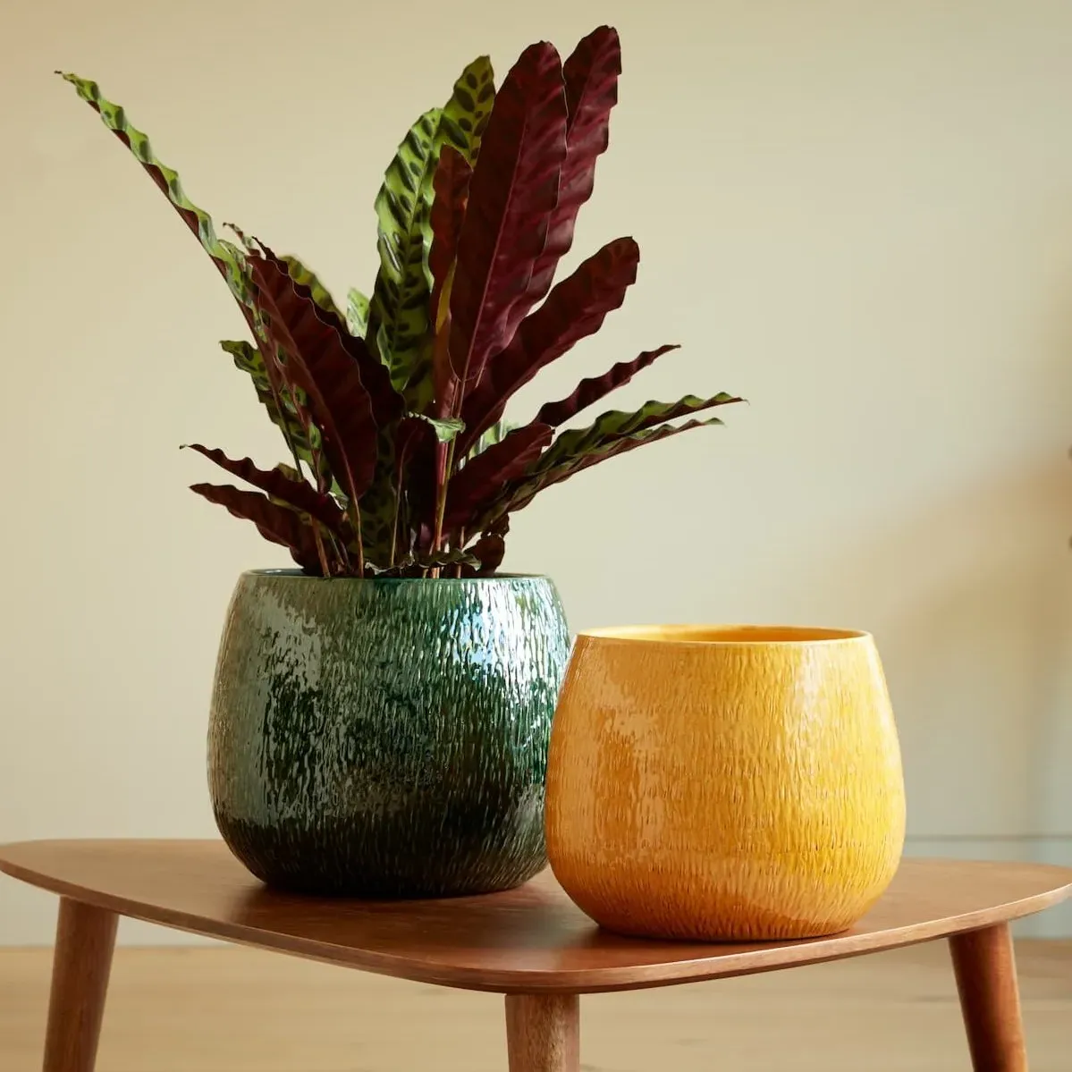 Bowl Plant Pot with High Shine - Emerald, Ceramic