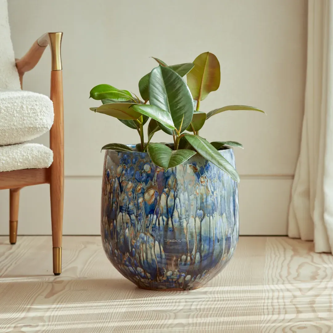Indoor Plant Pot - Glazed Ceramic