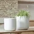 Indoor Plant Pot with Foot Pads - White, Ceramic