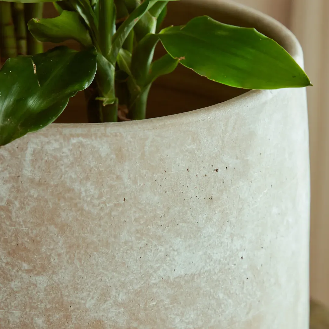 Indoor Plant Pot with Tapered Profile - Anthracite, Ceramic