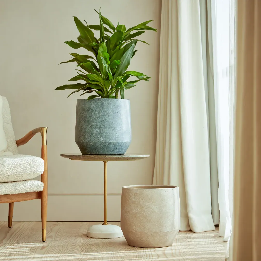 Indoor Plant Pot with Tapered Profile - Anthracite, Ceramic