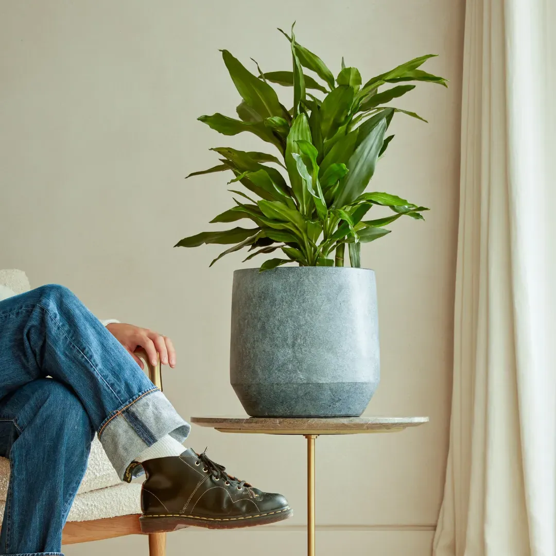 Indoor Plant Pot with Tapered Profile - Sand, Ceramic