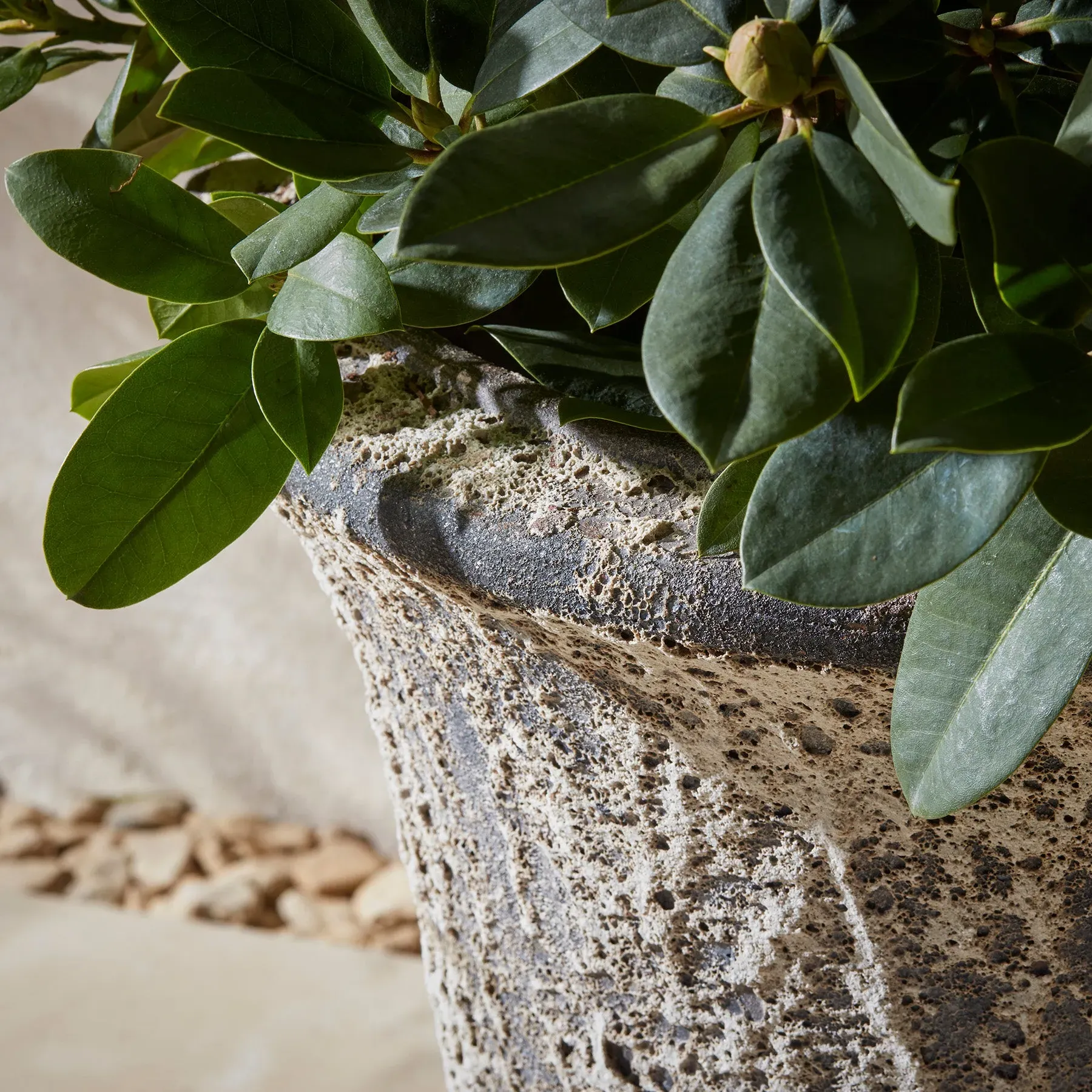 Large Garden Urn Planter - Stone Effect, Clay