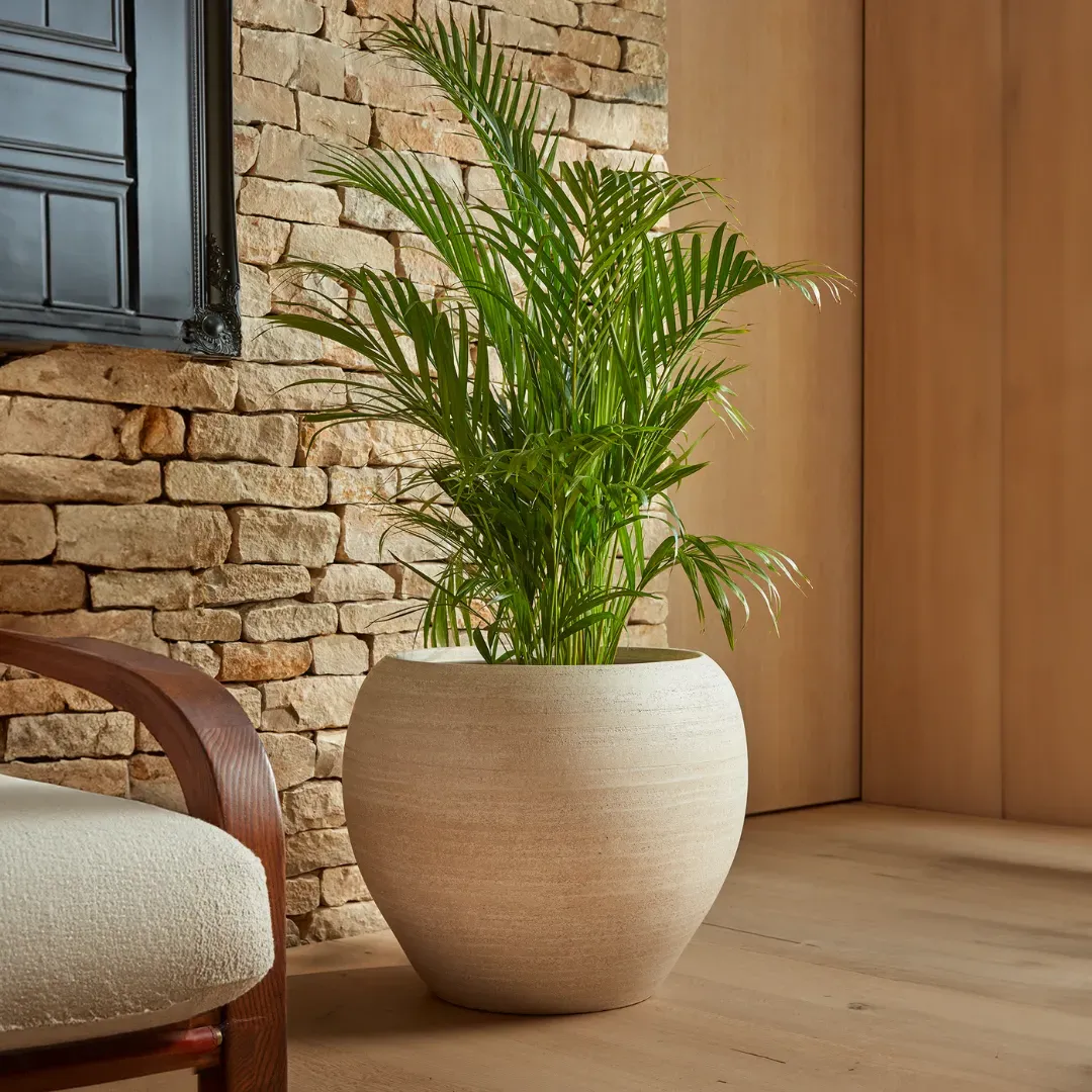 Large Indoor Plant Pot - Charcoal, Ceramic