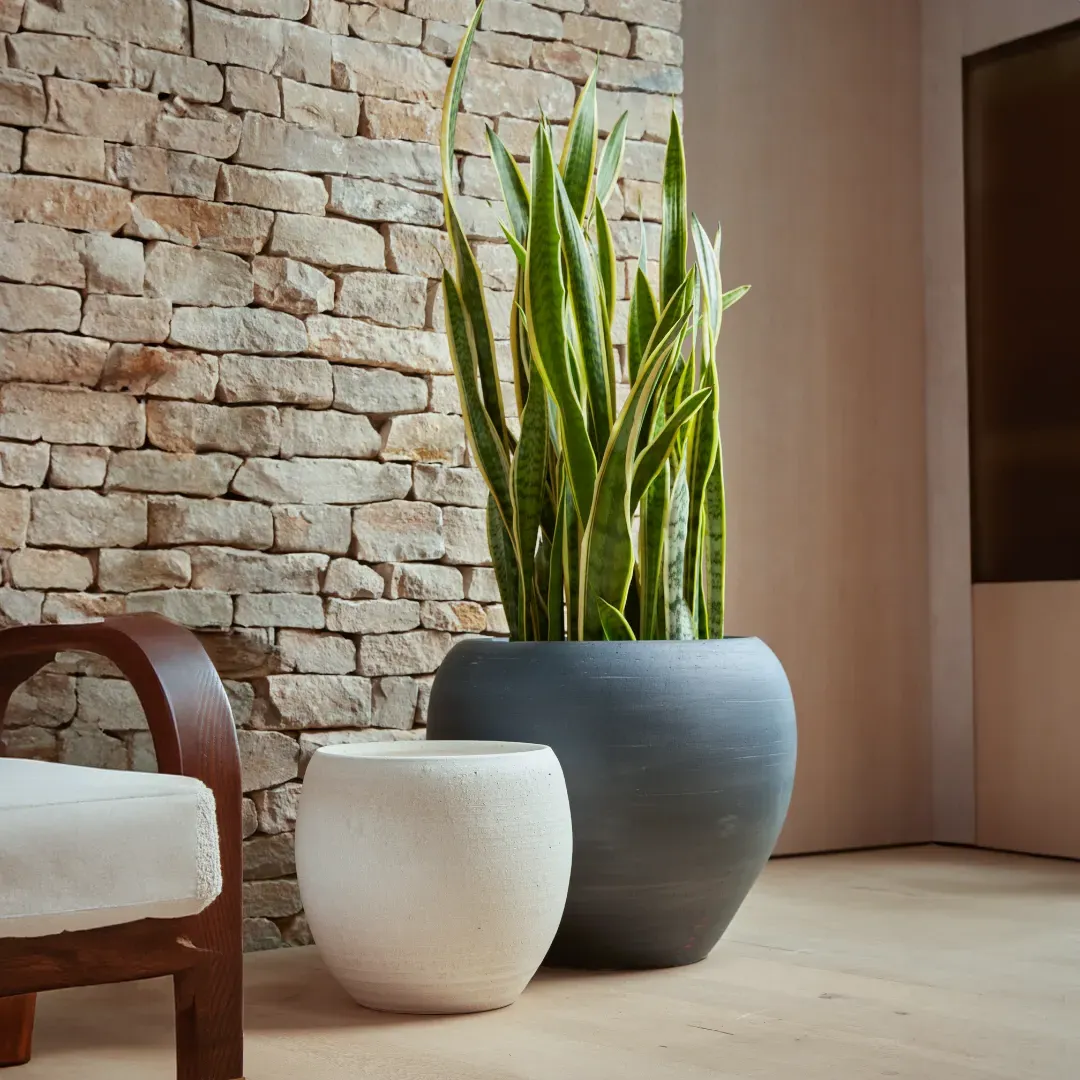 Large Indoor Plant Pot - Charcoal, Ceramic