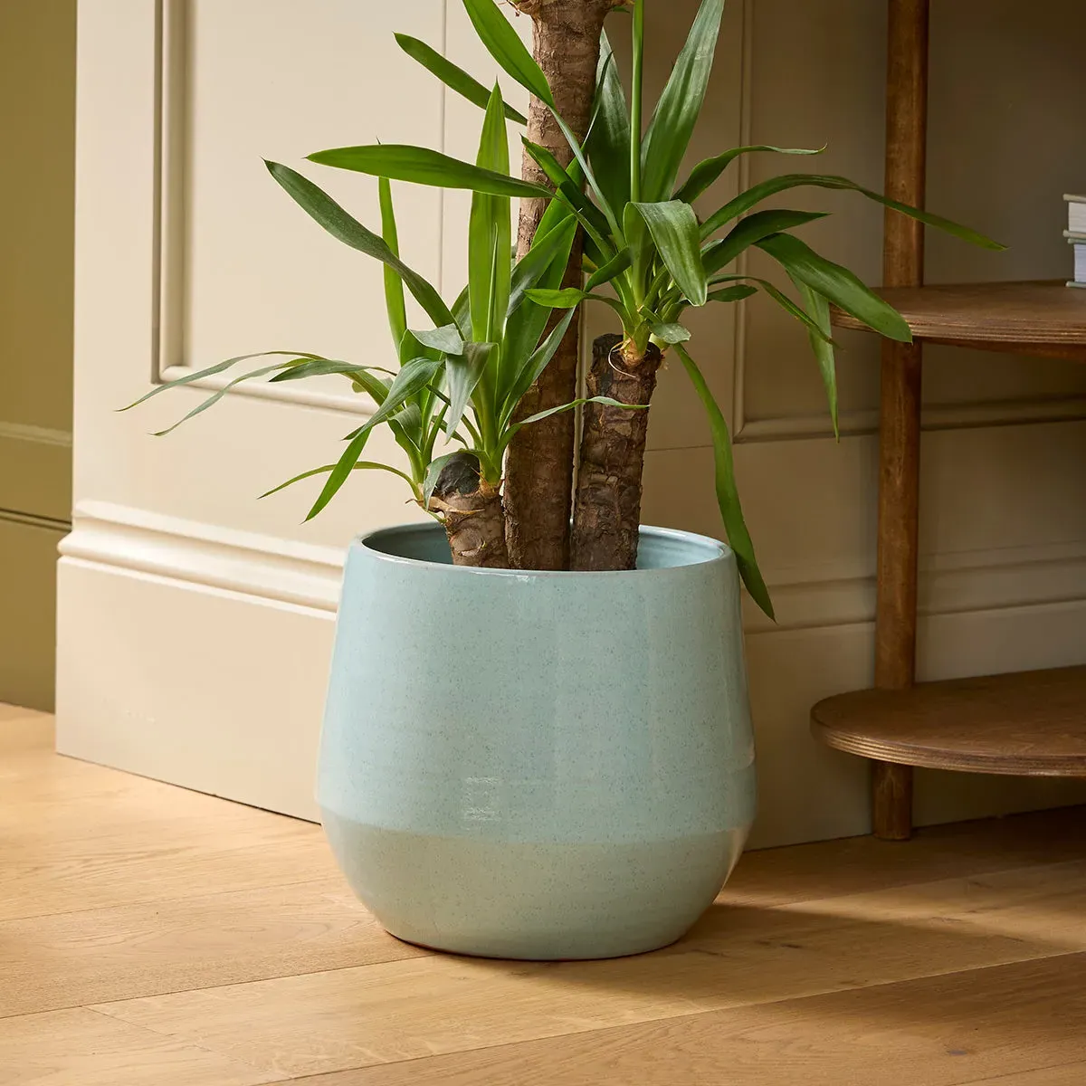 Large Indoor Plant Pot - Green, Ceramic