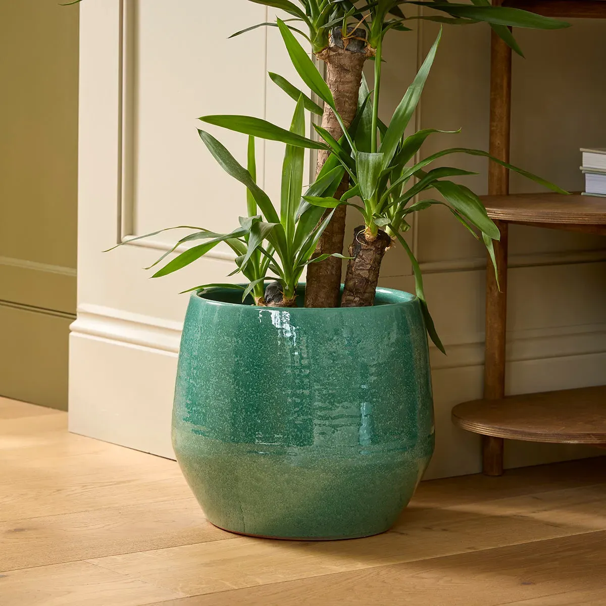 Large Indoor Plant Pot - Green, Ceramic