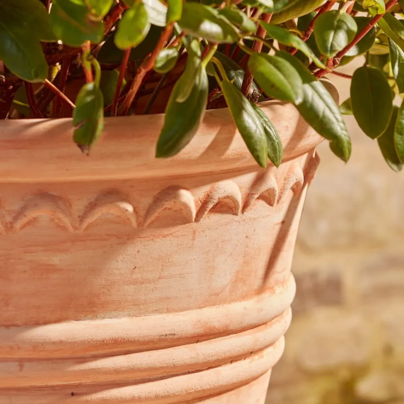 Large Plant Pot with Arch Detail - Terracotta