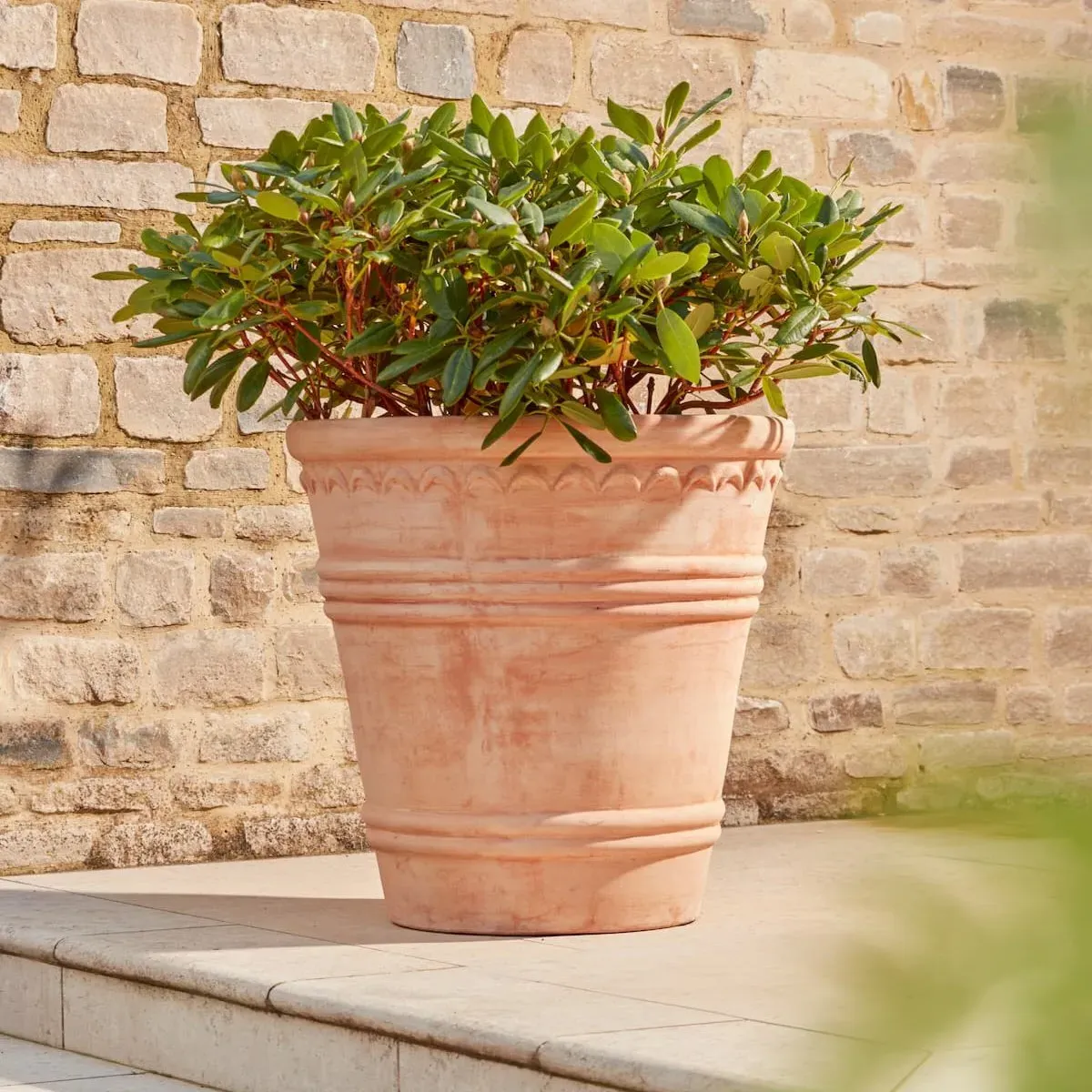 Large Plant Pot with Arch Detail - Terracotta