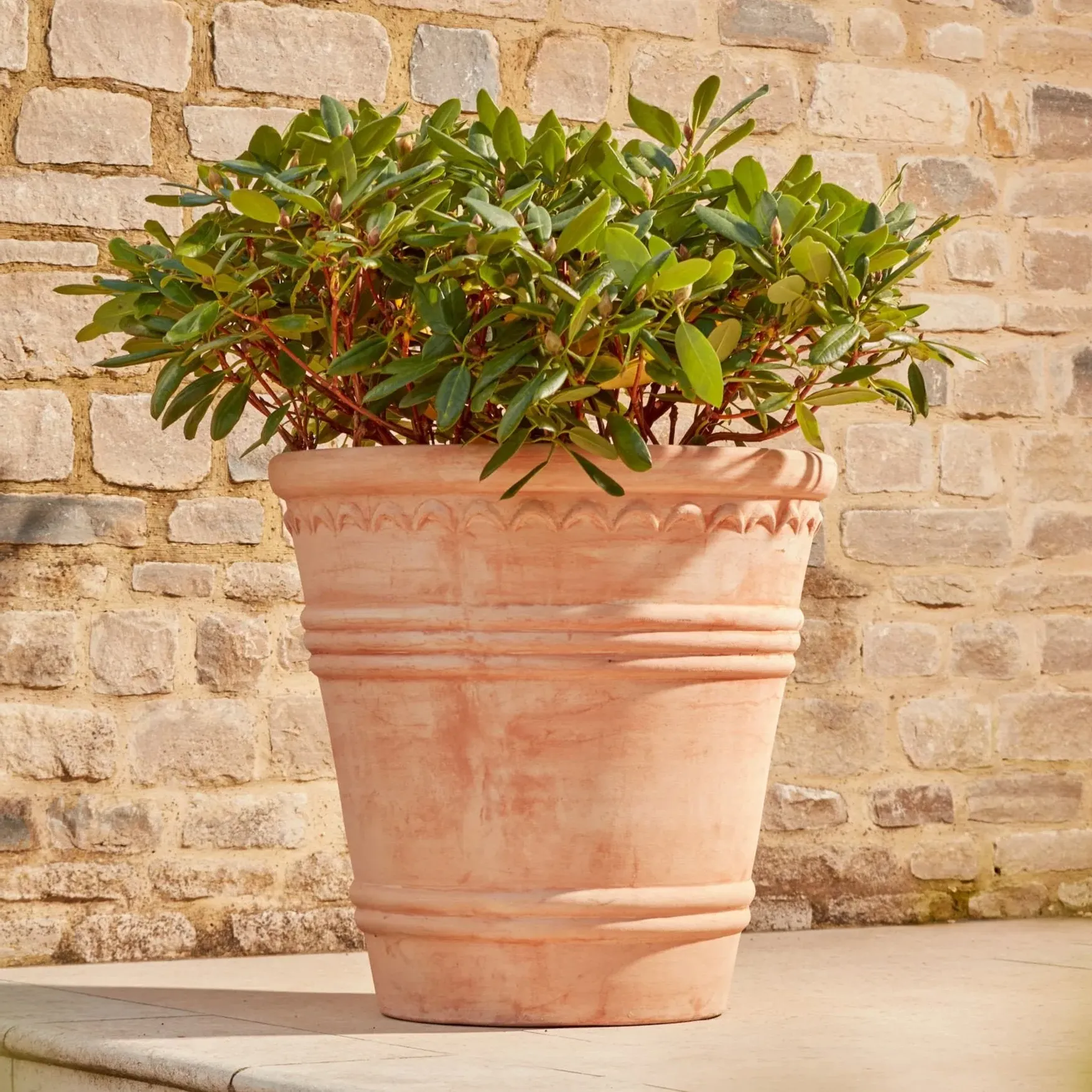 Large Plant Pot with Arch Detail - Terracotta image