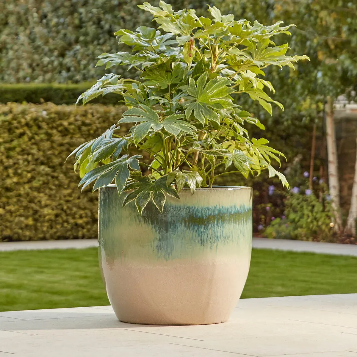 Large Plant Pot with Drainage - Charcoal, Glazed