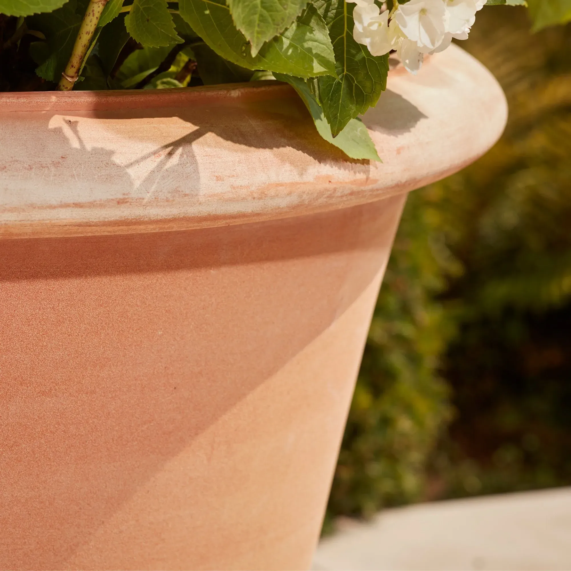 Large Plant Pot with Drainage - Terracotta