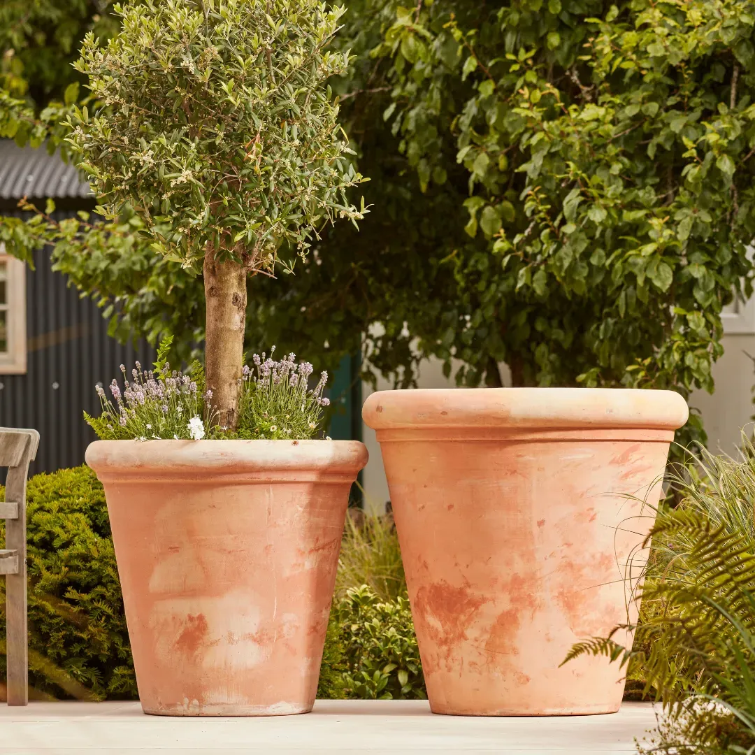 Large Plant Pot with Drainage - Terracotta