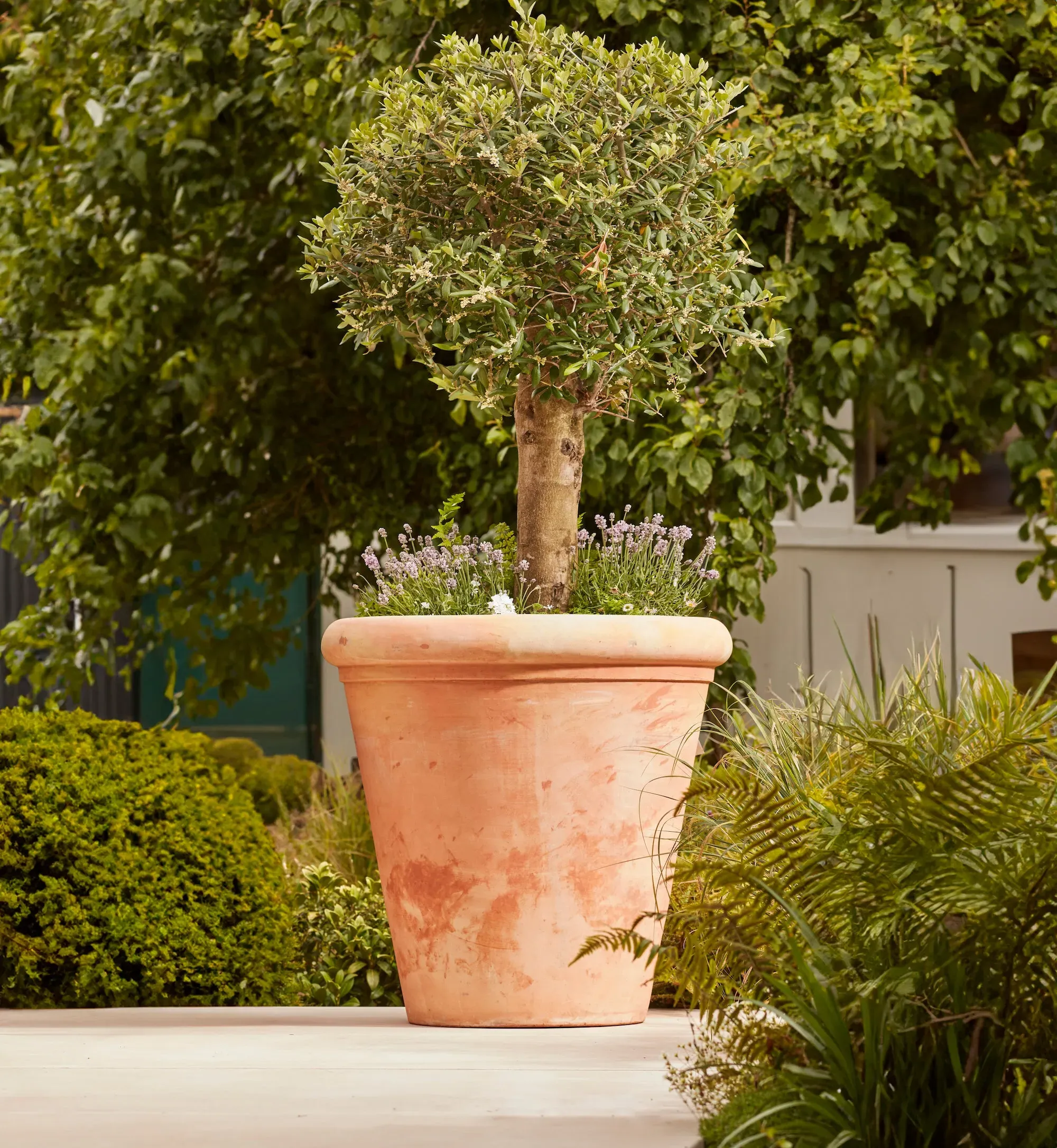 Large Plant Pot with Drainage - Terracotta