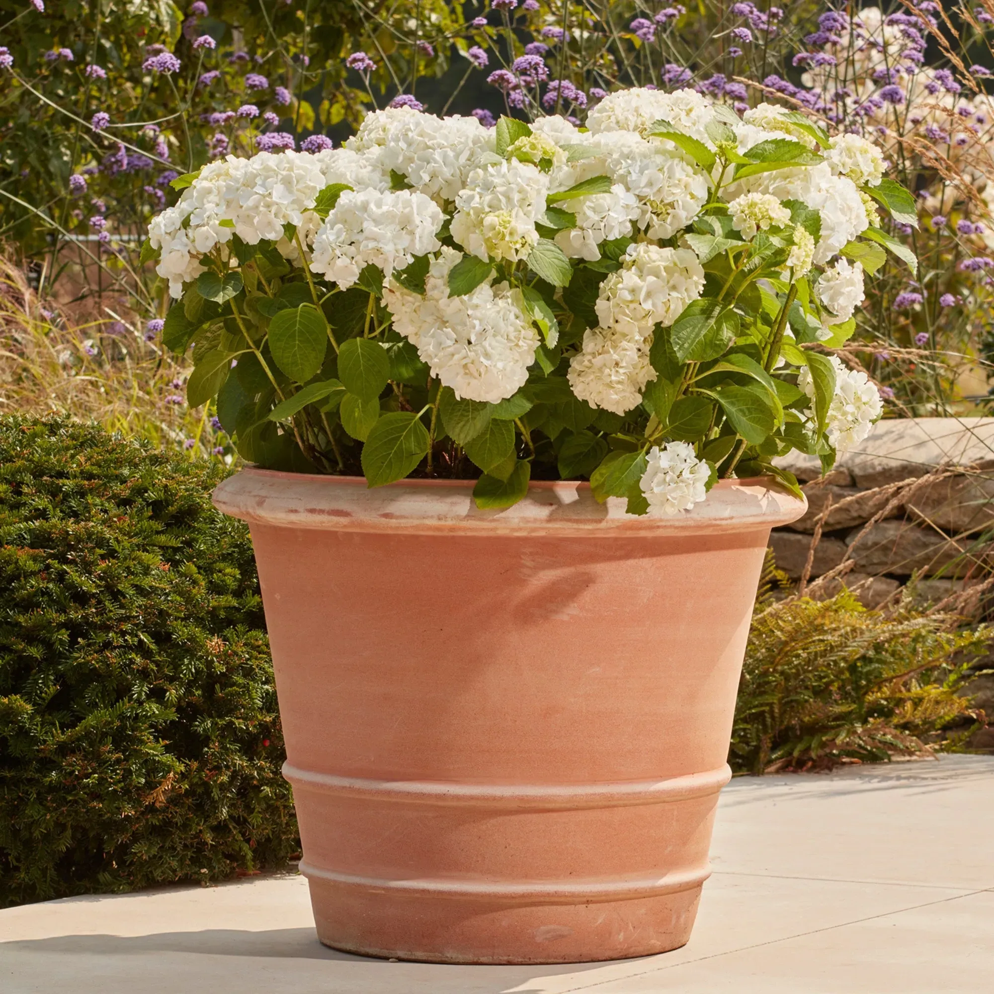 Large Plant Pot with Drainage - Terracotta image
