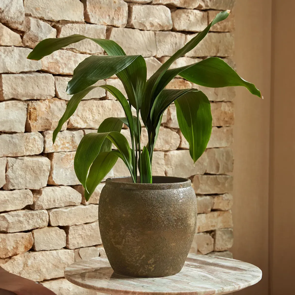 Large Plant Pot with Watertight Design - Bronze