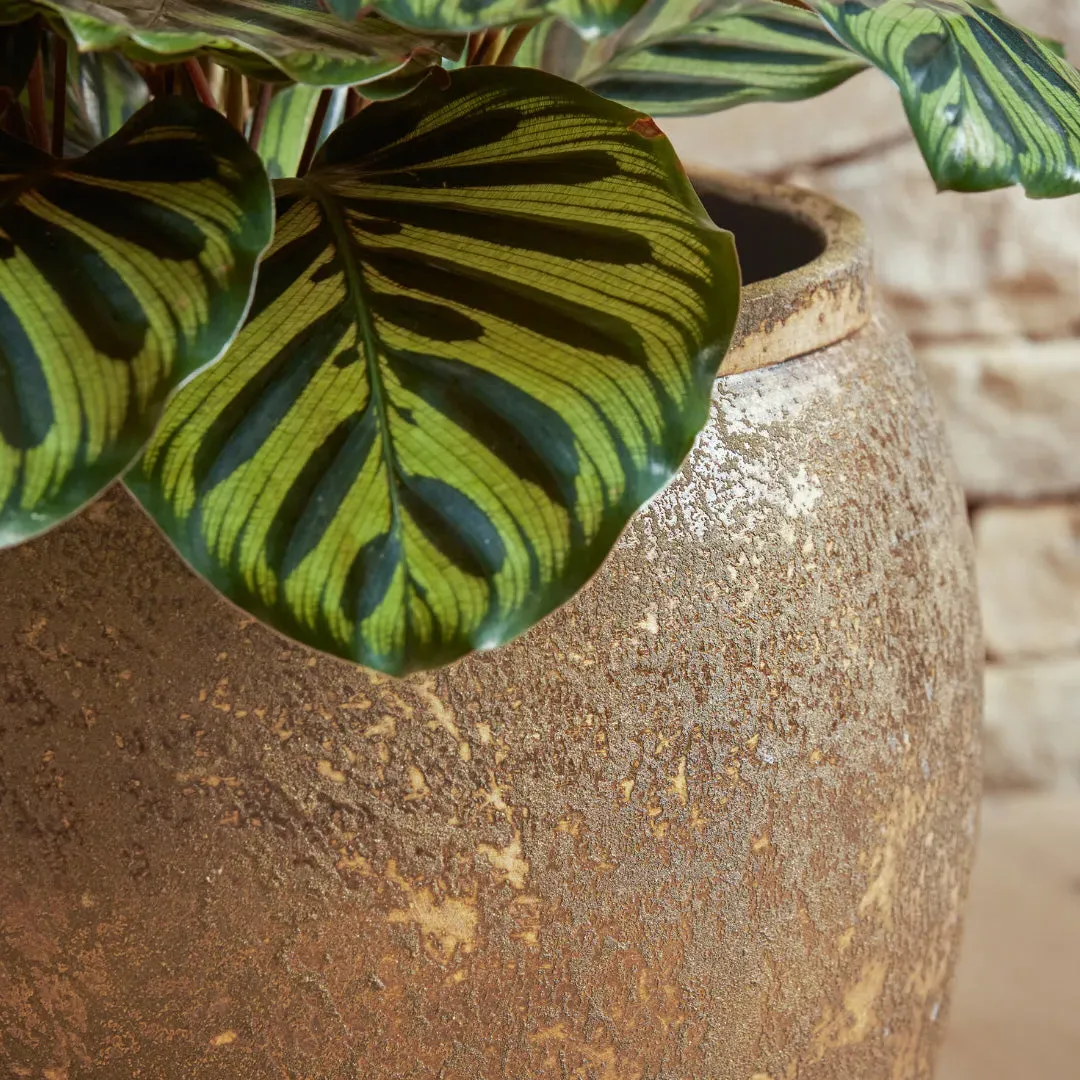 Large Plant Pot with Watertight Design - Bronze