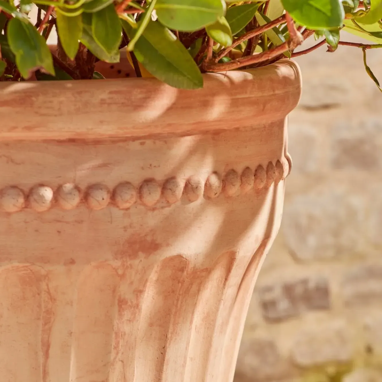 Large Planter Pot with Beaded Detail - Terracotta