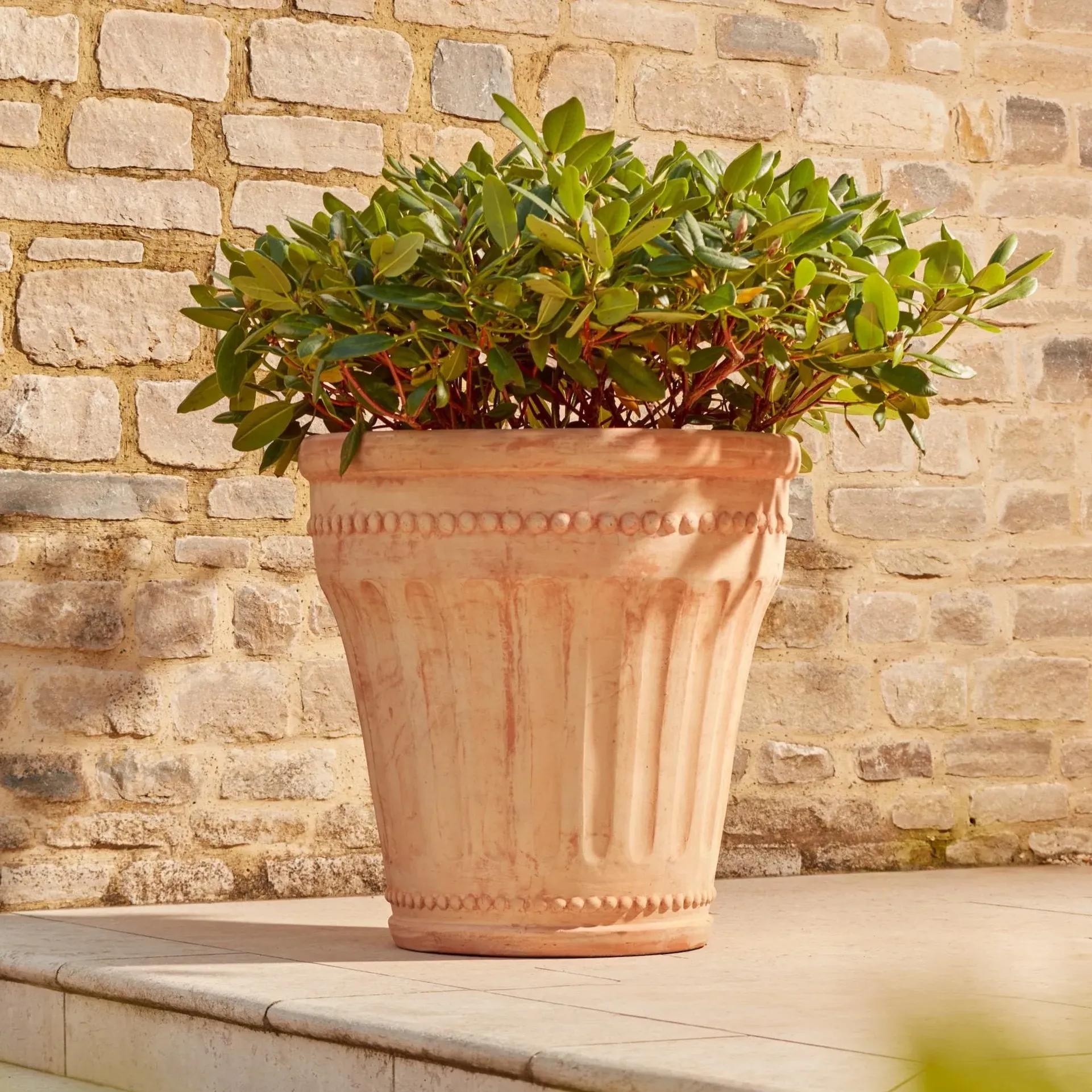 Large Planter Pot with Beaded Detail - Terracotta image