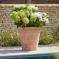 Large Planter Pot with Rope Design - Terracotta