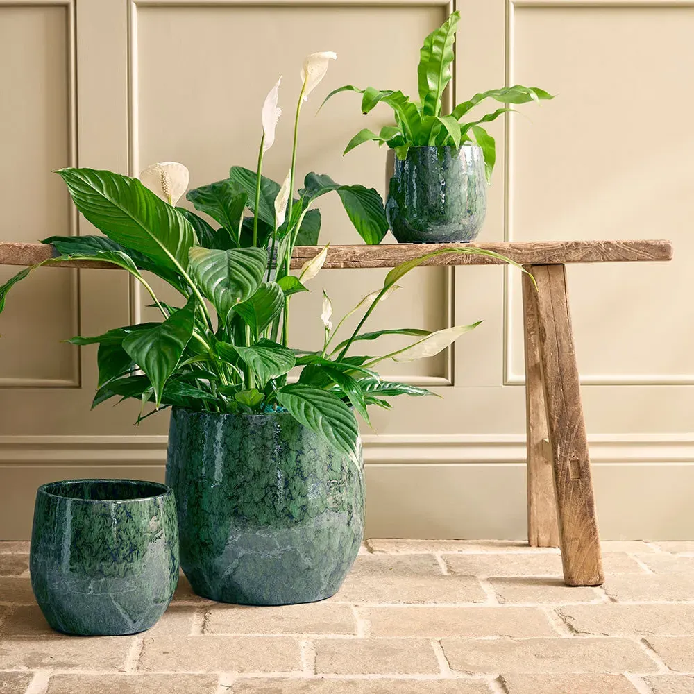 Neve Indoor Plant Pot - Green, Glazed Ceramic product