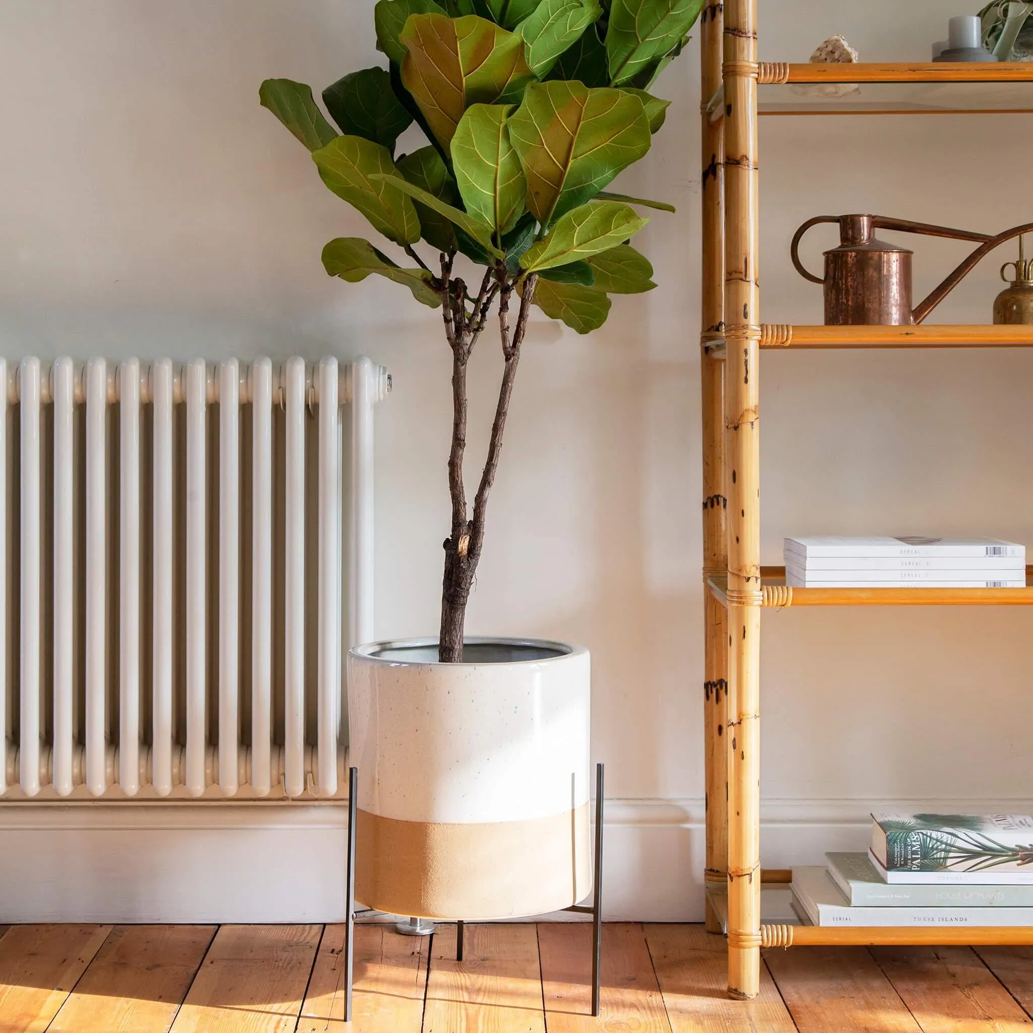 Plant Pot with Stand - Speckled, Ceramic image