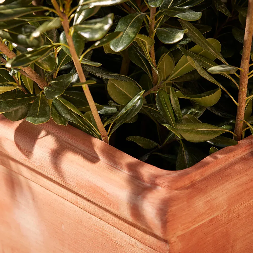 Square Planter with Rosette Relief - Terracotta