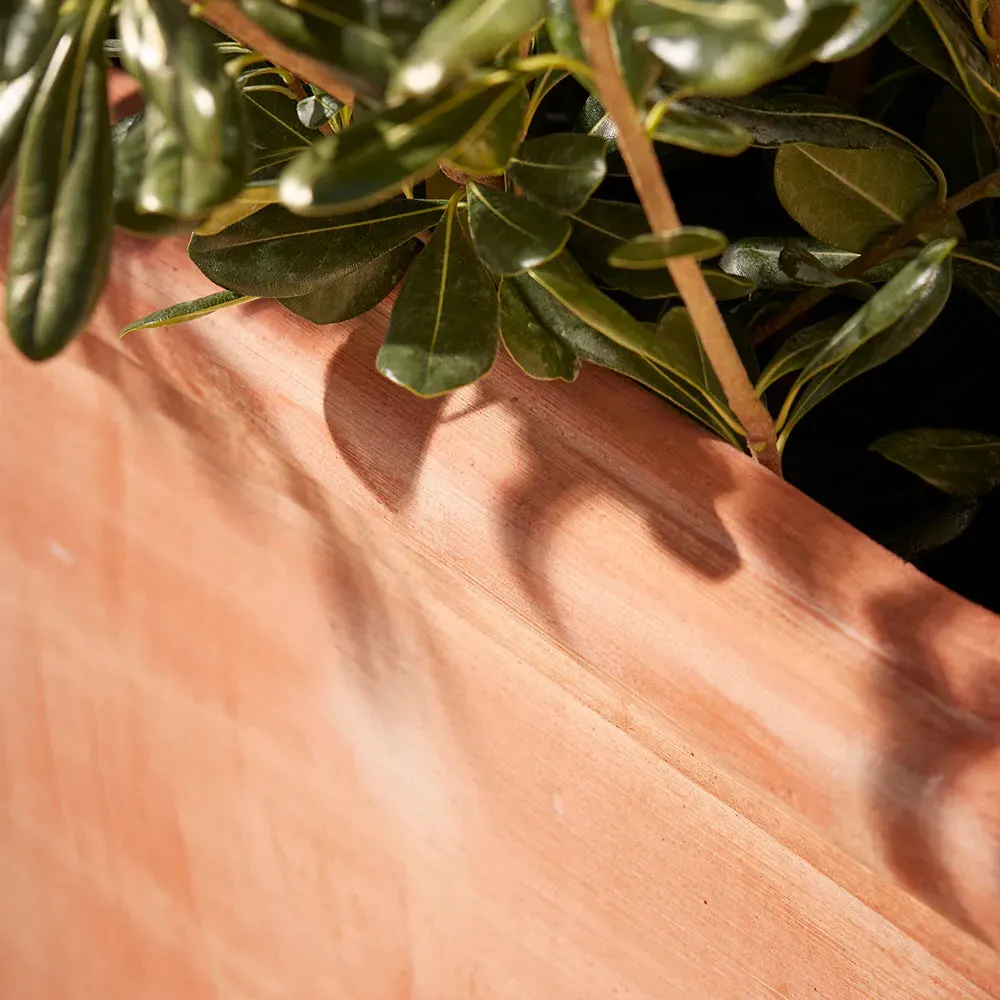 Square Planter with Rosette Relief - Terracotta