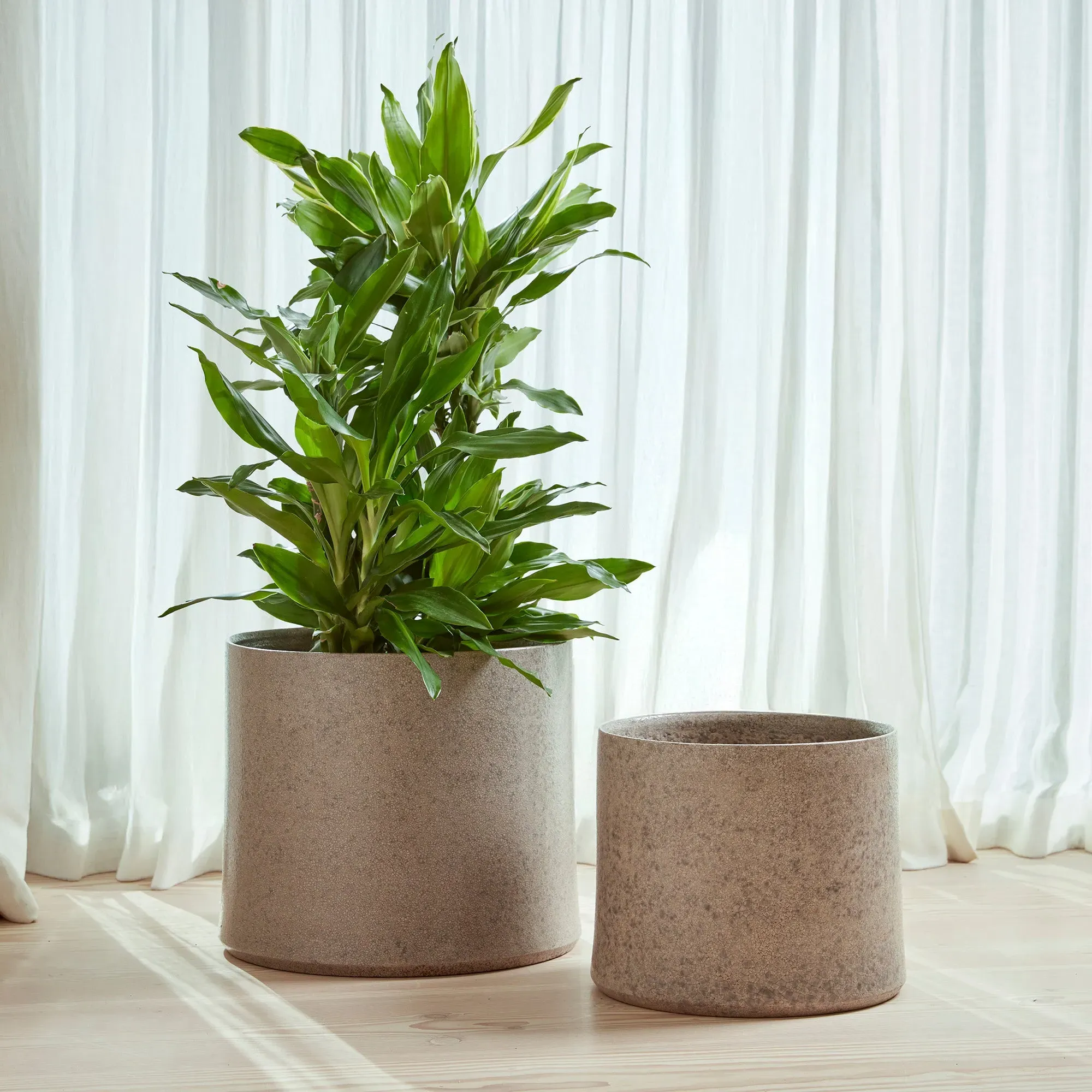 Tapered Indoor Plant Pot - Glazed Ceramic