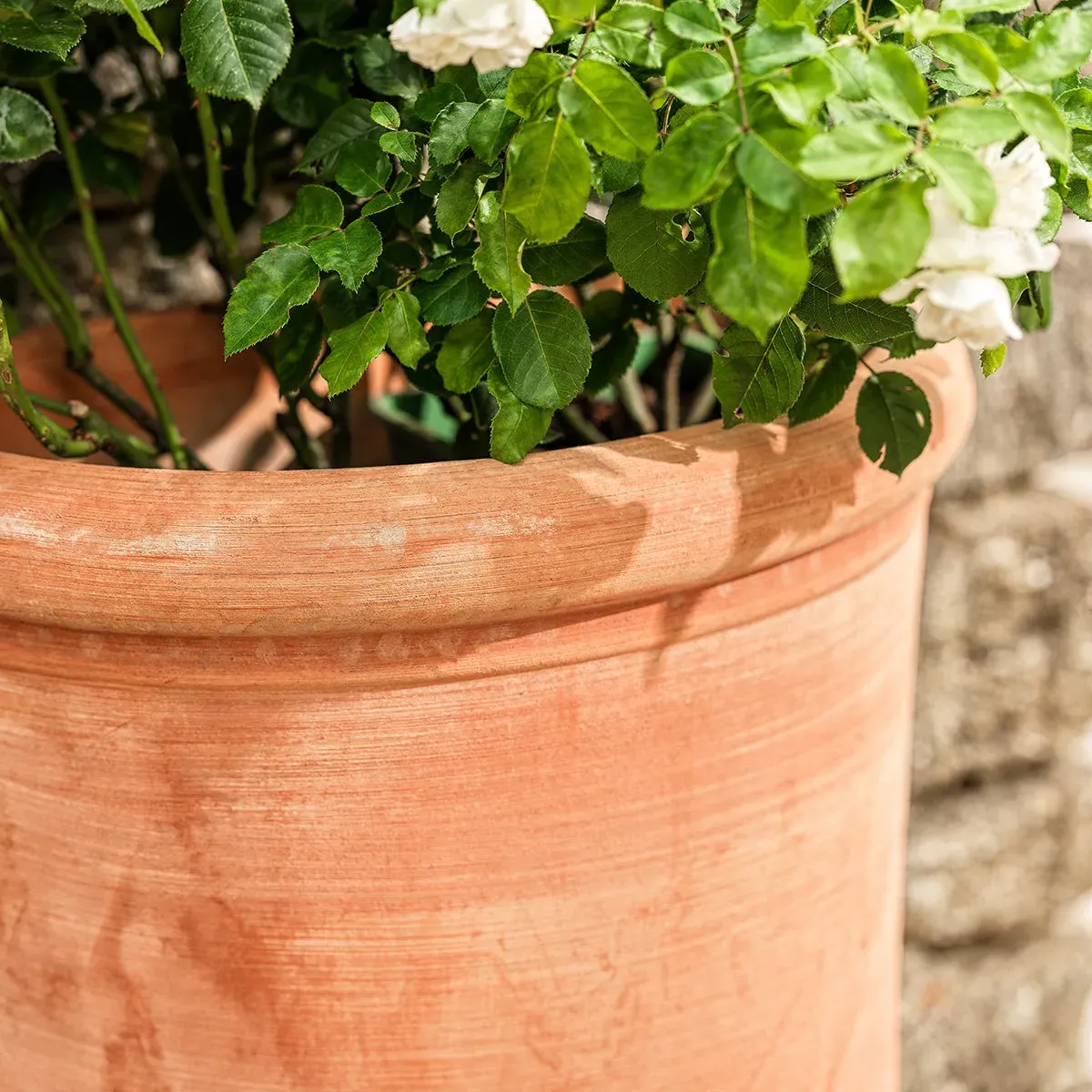 Wall Plant Pot Half-Moon Design - Terracotta