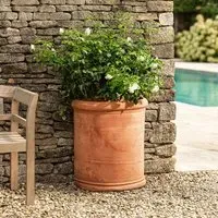 Wall Plant Pot Half-Moon Design - Terracotta