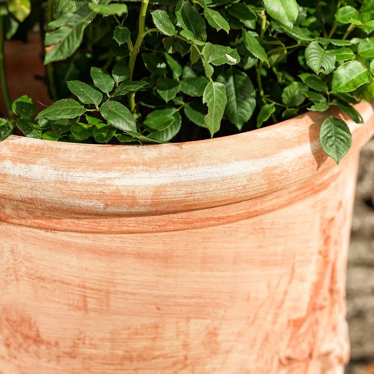 Wall Plant Pot with Garland Detail - Terracotta