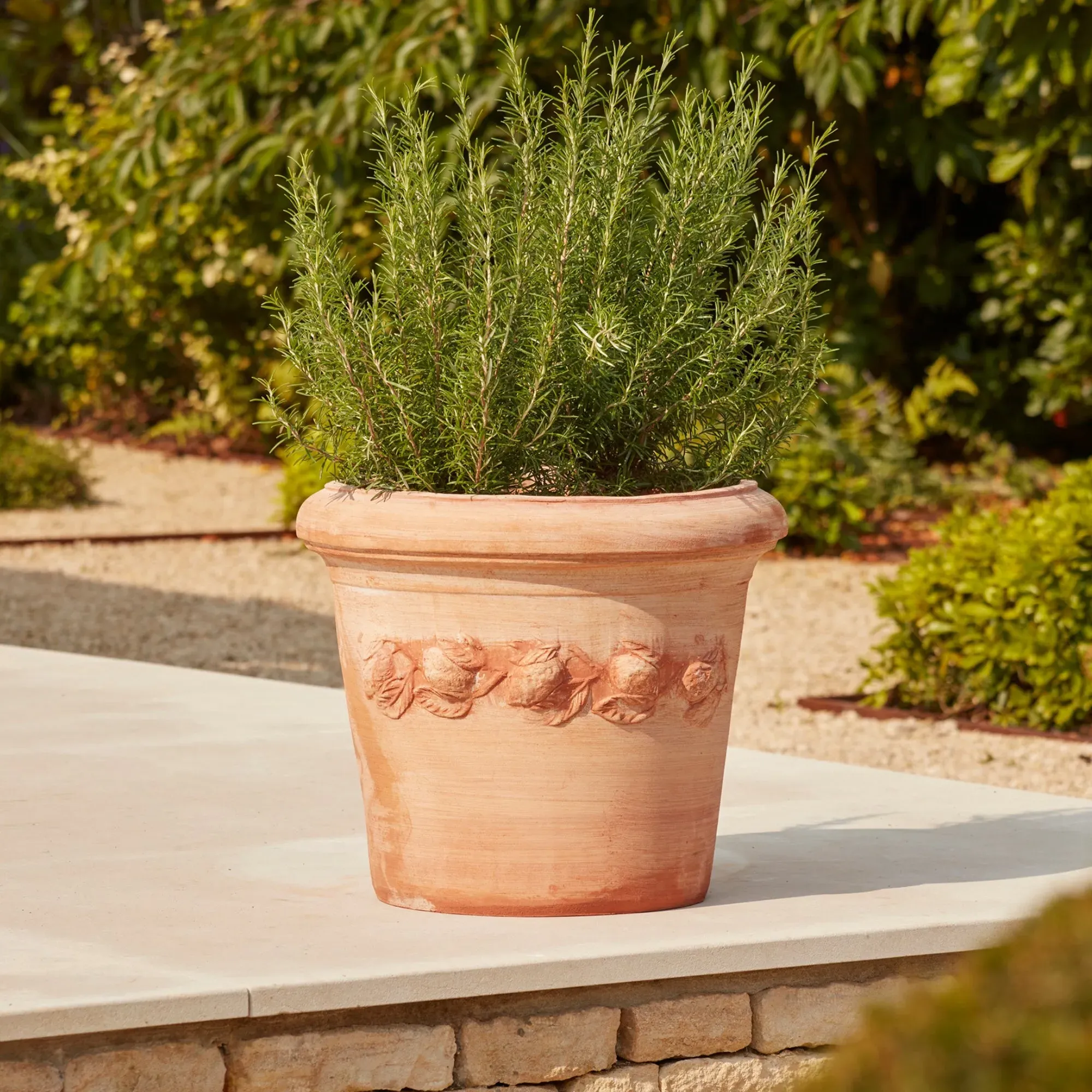 60cm Plant Pot with Drainage - Terracotta