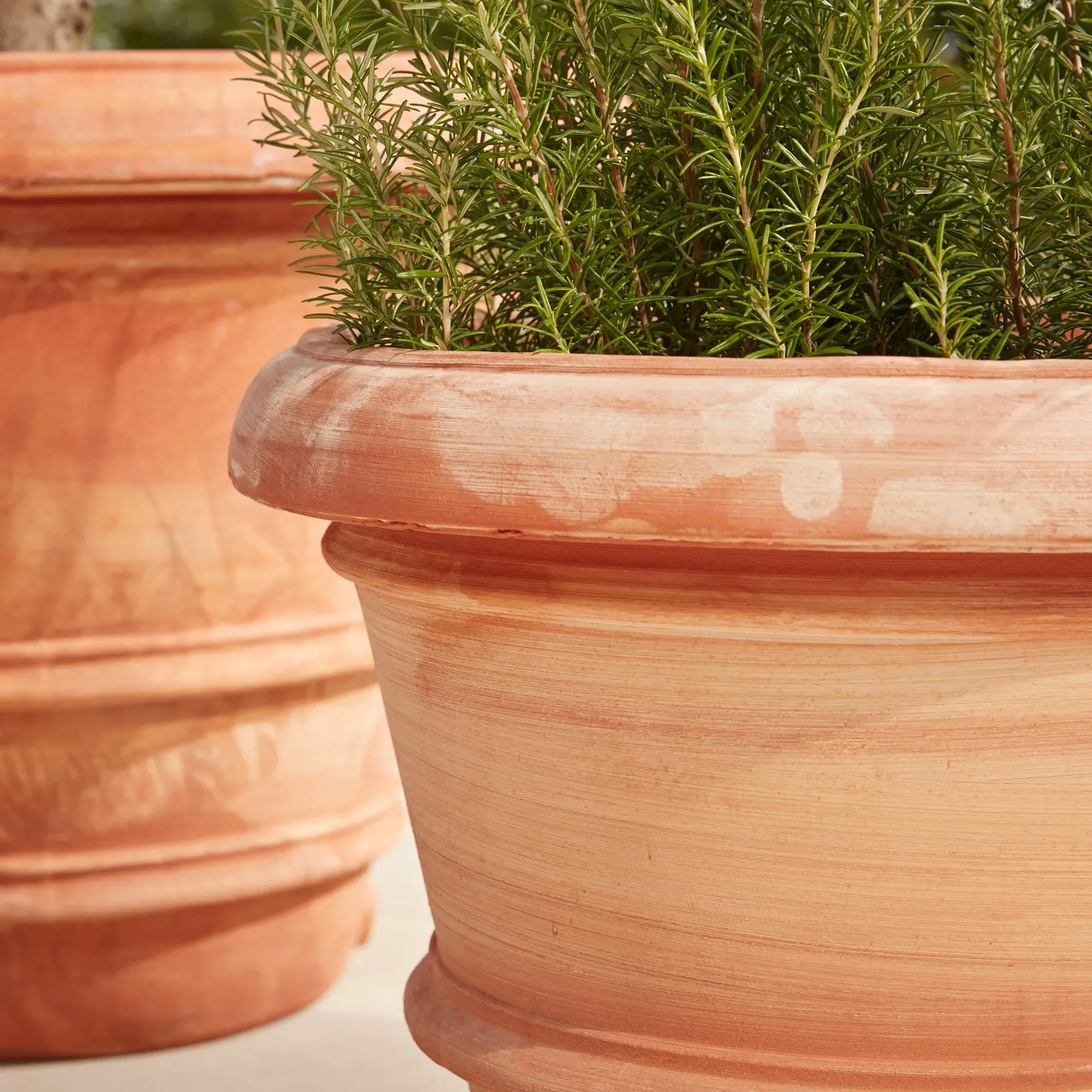Extra Large Plant Pot with Drainage - Red, Terracotta