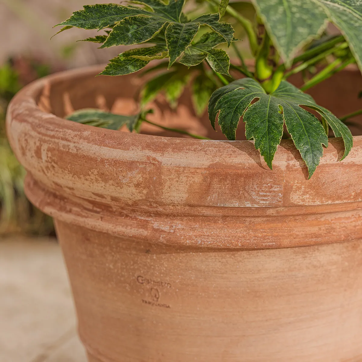Large Plant Pot with Drainage - Terracotta
