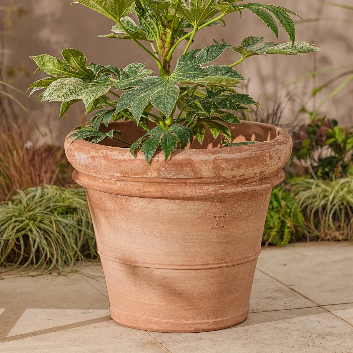 Large Plant Pot with Drainage - Terracotta image