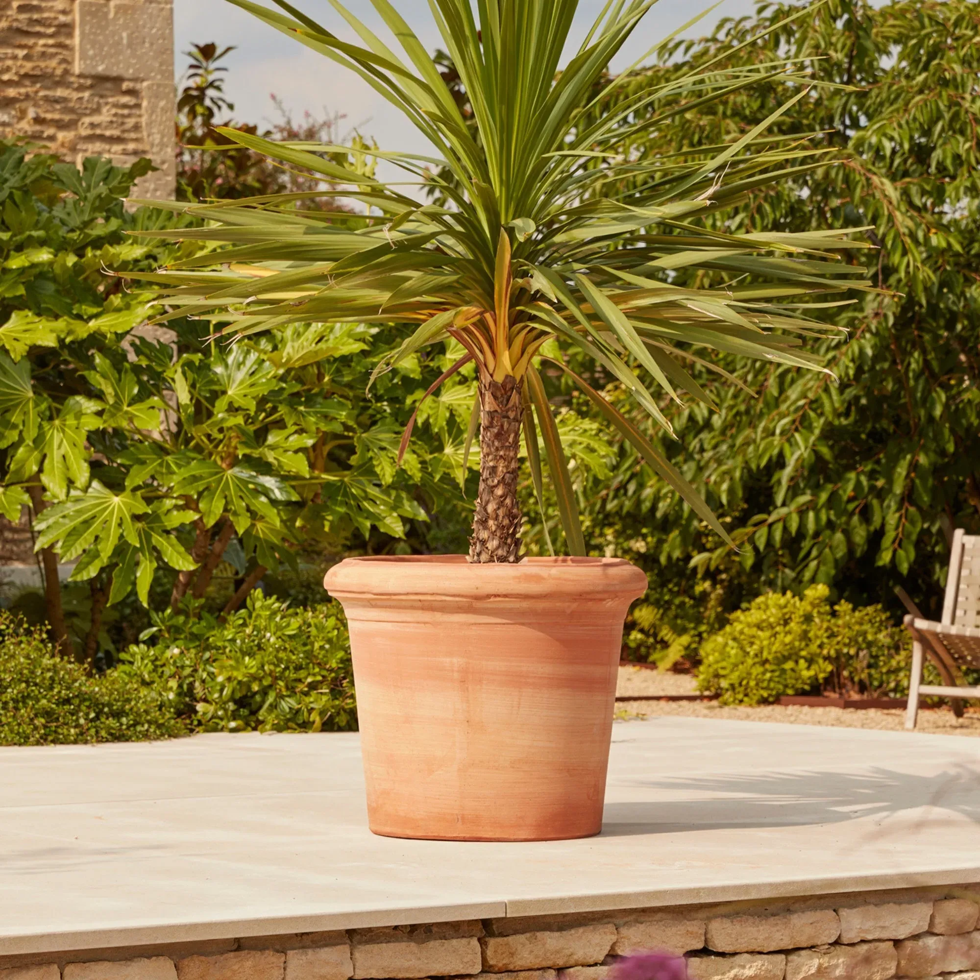 Large Plant Pot with Drainage - Terracotta image