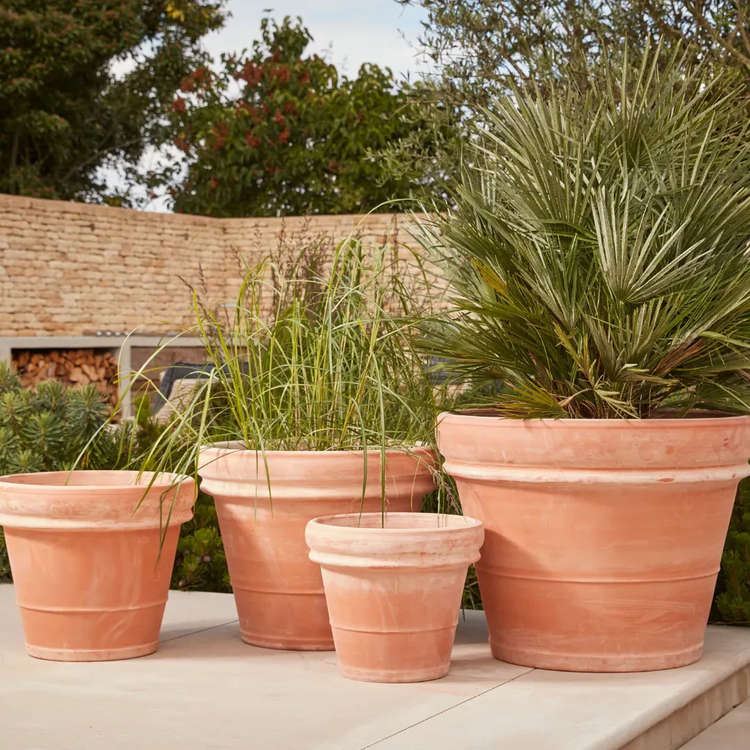 Round Planter Pot with Drainage - Terracotta