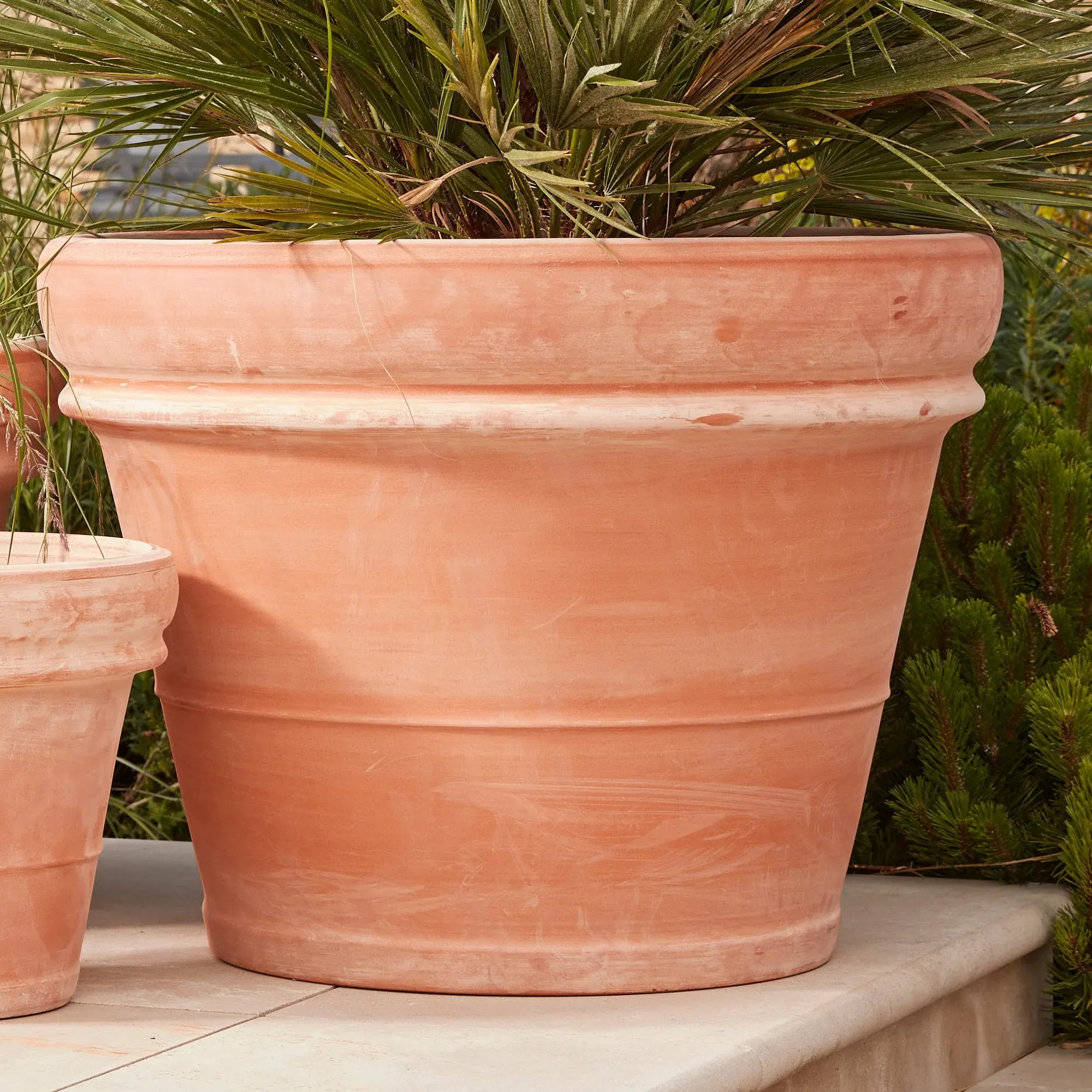 Round Planter Pot with Drainage - Terracotta