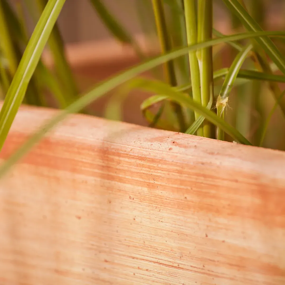 Tall Square Plant Pot with Drainage - Terracotta