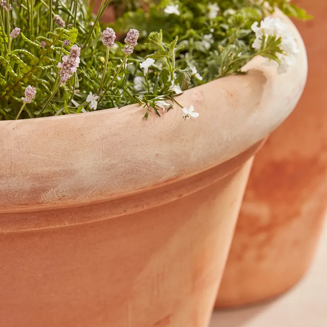 Large Terracotta Planter with Drainage - Clay