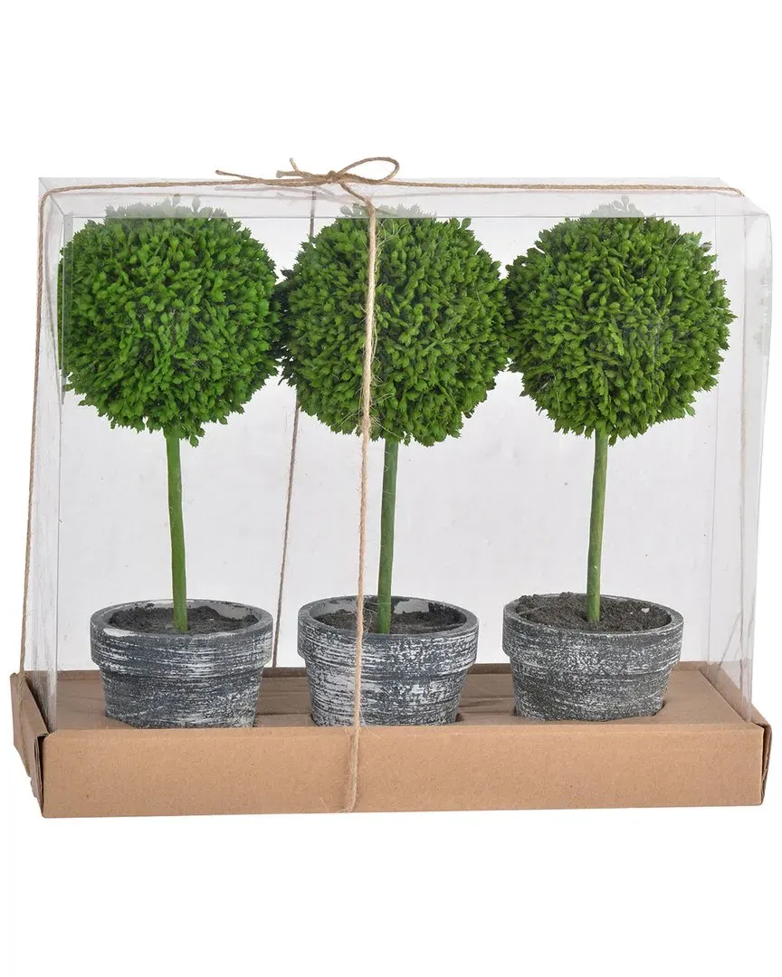 Mini Faux Potted Boxwood Topiaries Set of 3 - Green