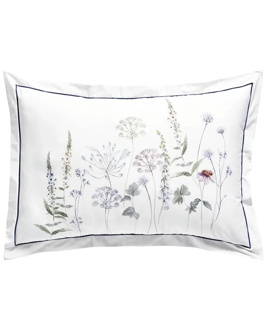 200 Thread Count Autrefois Sham - Multicolor, Cotton image