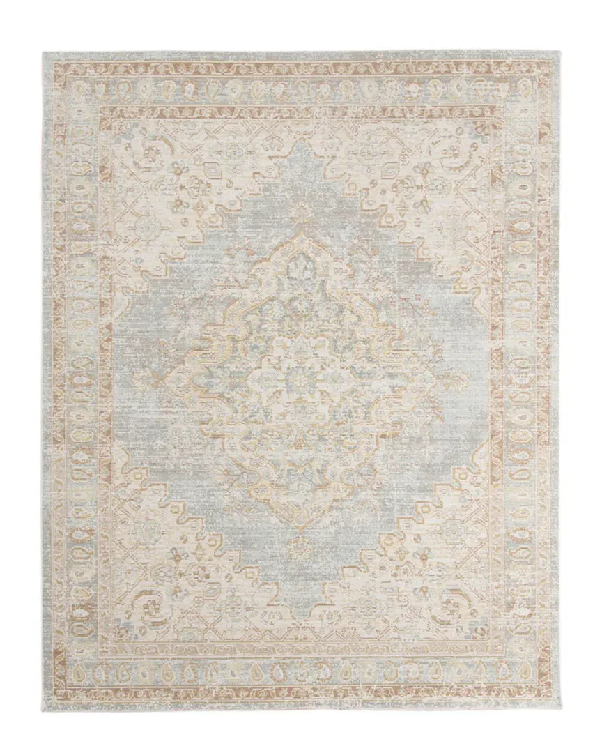 Amer Rugs Century Dina Rug - Gray, Polyester