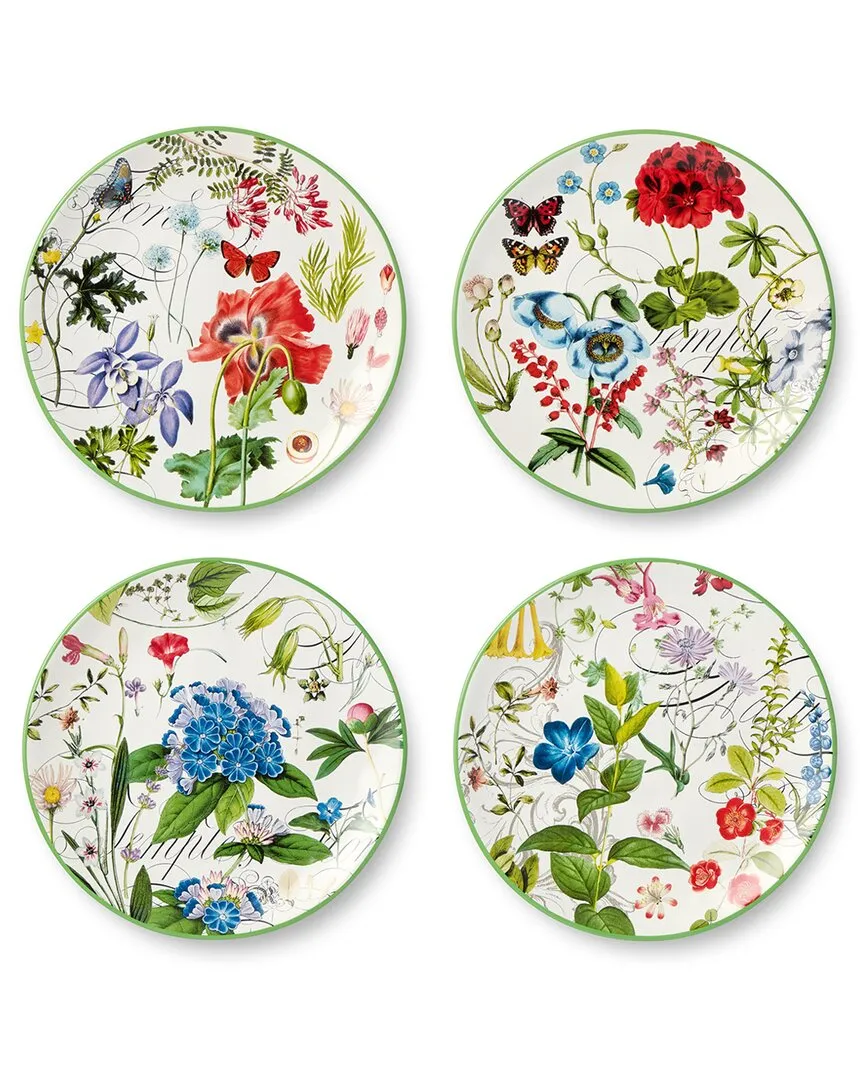 Greenhouse Set of 4 Salad Plates - Multicolor, Ceramic