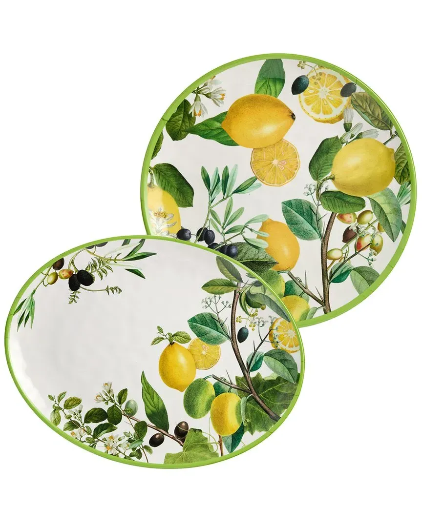 Limone 2pc Melamine Platter Set - Multi